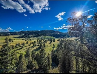 116115 S Buxton, Butte, MT 59750
