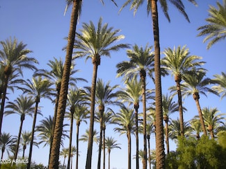 4540 N 44th St Unit 41, Phoenix, AZ 85018