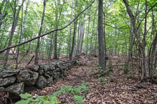 00 Flaghole Rd, Andover, NH 03216