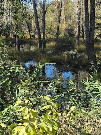 765 George II Hwy SE, Winnabow, NC 28479