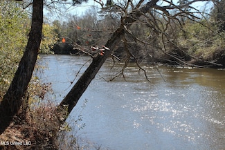 0 Red Creek Rd Unit 4101276, Lucedale, MS 39452