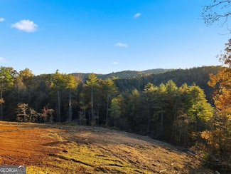 1783 Hunter Dr, Ranger, GA 30734