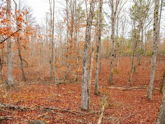 + - 24 Acres Unit Shannon County MO, Birch Tree, MO 65438
