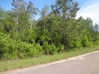 Lot 13 Jacob Michael Dr, McHenry, MS 39561