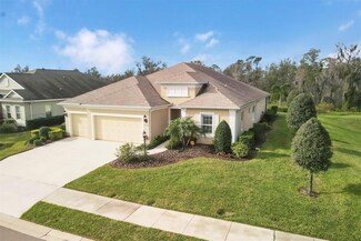 16921 Rosedown Glen, Parrish, FL 34219