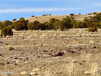 0 Cr 5201, Concho, AZ 85924