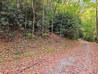 Lot 14B Pennington Branch Rd, Damascus, VA 24236