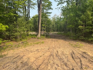 Lot #20 Indian Oaks, Prudenville, MI 48651