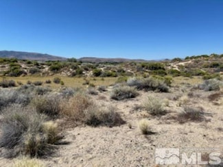 3810 Antelope St, Silver Springs, NV 89429
