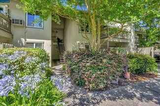 2564 Walnut Blvd Unit 109, Walnut Creek, CA 94596