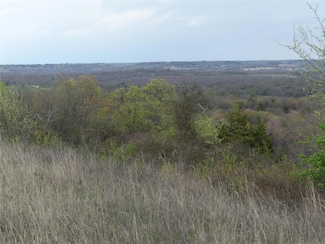 TBD Dye Mound Rd, Forestburg, TX 76239