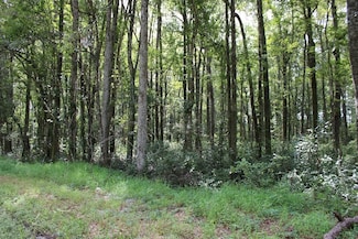 0 Geddisville Rd, Adams Run, SC 29426