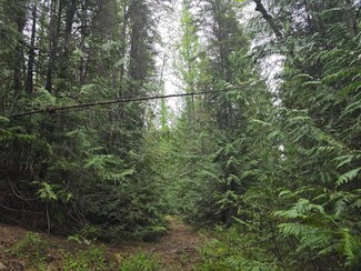 2XXX Deep Lake Boundary Rd, Colville, WA 99114