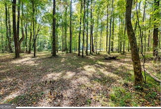 1978 Luther Bailey Rd, Senoia, GA 30276