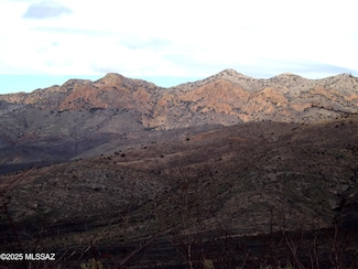 Lot 2 W Red Mountain Rd Unit 1, Bisbee, AZ 85603