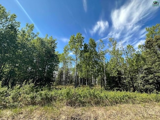 L10 Janie Ln, Deltana, AK 99731
