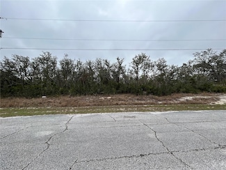 509 Sarasota Ln, Kissimmee, FL 34759