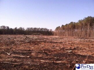 TBD W Hwy 9, Clio, SC 29525