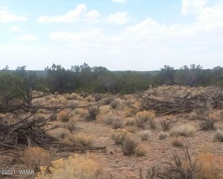 Parcel 002 Sec 23 T17n R27e Unit CR N7479, St. Johns, AZ 85936