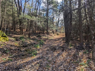0 Lyman Todd Dr, Hardenburgh, NY 12406