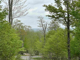 Lot 15 Casentino Ct, Davis, WV 26260