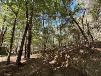 TDB Delaware Ave, McComb, MS 39648