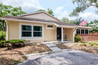 15301 Morning Dr, Lutz, FL 33559