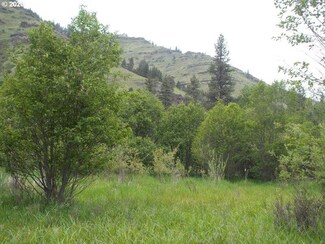0 Salmon Way Unit 20147171, Imnaha, OR 97842