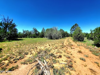 8571 Haven Crest Dr Unit 229, Blue Ridge, AZ 86024