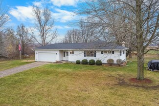 13405 Ellis Rd, Conklin, MI 49403