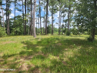 63 Windsor Cir SW, Ocean Isle Beach, NC 28469
