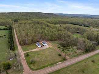 8900 Lewis Rd, Vanderbilt, MI 49795