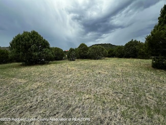 Lot 154 Antler Dr, Alto, NM 88312