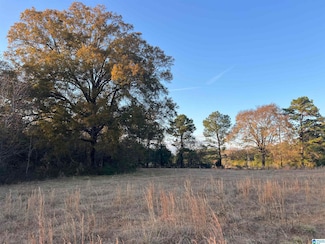 11 Acres Risers Mill Rd, Alpine, AL 35014