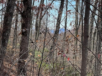 Lots Ash Branch View, Hayesville, NC 28904