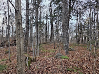 OFF Forest Road 3979 Unit 431AC, Watersmeet, MI 49969