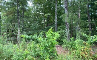 LT 17 Whippoorwill Walk Rd, Mineral Bluff, GA 30559