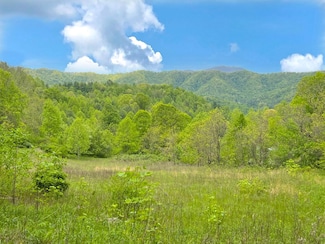 0 Tbd Baltimore Branch Rd, Hot Springs, NC 28743