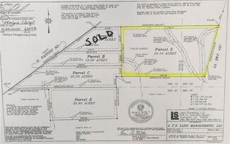 Parcel  E Hwy 437 None, Covington, LA 70435