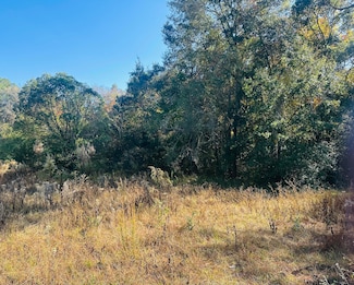 TBD Douglass Ave, Defuniak Springs, FL 32435