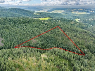 19960 N Mount Spokane Park Dr Unit Parcel  47134.9099, Mead, WA 99021