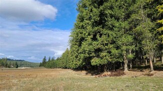 NNA N Dunn Rd, Colbert, WA 99005