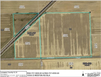 10000 Blk E Weston Rd, Blissfield, MI 49228