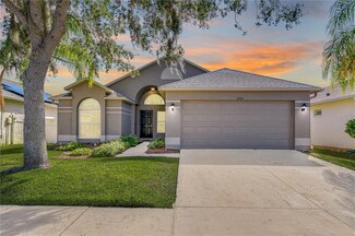 31342 Philmar Ln, Wesley Chapel, FL 33543