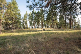 TBD Leaning Tree Ln, Clancy, MT 59634
