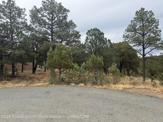 Lot #30 Cougar Ln Unit 4, Alto, NM 88312