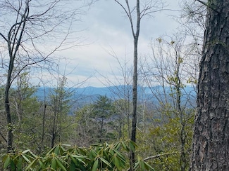 Lot 46 Ridge View Dr, Andrews, NC 28901