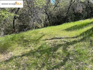 21327 American River Dr, Mono Vista, CA 95370