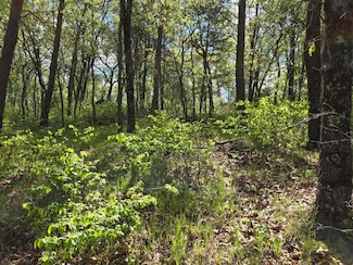 1163 Brown Bear Trail, Lake Arrowhead, WI 54457