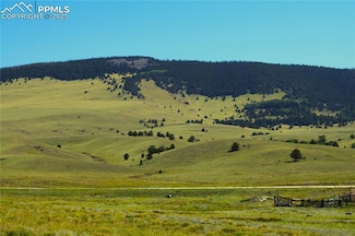0 State Hwy Unit 2777877, Guffey, CO 80820